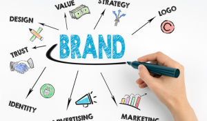 dang-ky-nhan-hieu-2024-nvcs