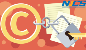 dieu-kien-dang-ky-nhan-hieu-nvcs