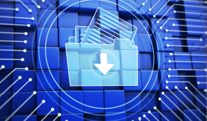 ho-so-gia-han-nhan-hieu