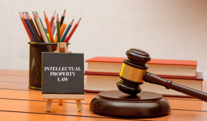 thoi-han-bao-ho-sang-che-2024-nvcs